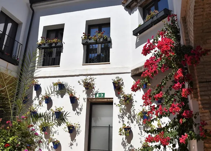 Patio San Andrés